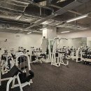 올 마이트 짐 이미지