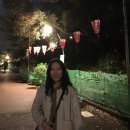 (주)문창건설 | [일본 5일차] 250411오테마치/도쿄황궁공원/부도칸/야스쿠니신사/아키하바라/우에노/몬자야끼 모헤지...