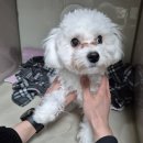 바울동물병원