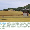 회령포성 | 함종 어씨 시조 인물 어재연 장군 어윤중 선의왕후 어윤희 충주 어씨 연원 파
