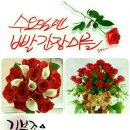 수요일꽃집