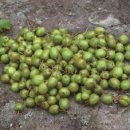 다래약국 이미지