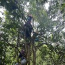 (주)단주 이미지