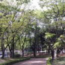 한글비근린공원 이미지