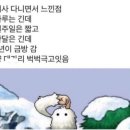 똥강지 | Grace Rocky save stars