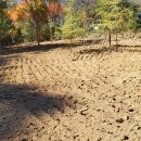 잣나무골 이미지