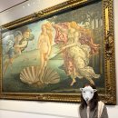 예다사랑 | [피렌체] 이탈리아 3대미술관인 우피치미술관 다녀온 후기 꼭 봐야하는 유명작품 위주 관람