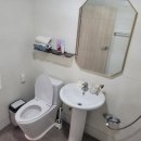 한골민박 이미지