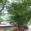 강촌연수원 이미지