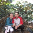 철주농장 이미지