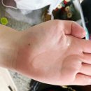 르망 헤어 이미지