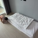제주 팀버하우스 네이버블로그