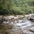 기린농협주유소 이미지