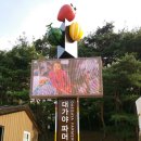 고령군 관광안내소 이미지