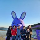 2025년 동기회 행사 신안 강진여행 1 (11월14~15일) 이미지