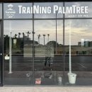 트레이닝팜트리 이미지