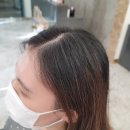 타이밍헤어 티스토리