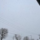 가내초등학교 | 그럼에도 불구하고 나는 너를 용서하고 사랑하게 될 거야