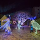 제주허브동산 이미지