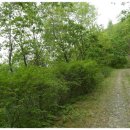 청송자연휴양림 이미지