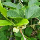 갯골샘터 이미지