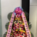 맘스터치대구대점 이미지