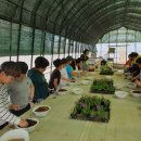 관호초등학교 이미지