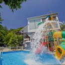 하얀허브 이미지