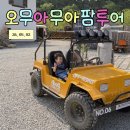 단양 어린이집 | 단양 ATV 타고 아이와 공룡숲 체험 : 오무아무아팜투어 🦖🛻🌳
