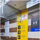 더타이어�� 서래마을점 | 반포 서래마을 카페거리 한식 맛집 잠닭 점심 후기 주차정보