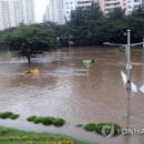 온천천일대11 이미지