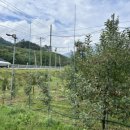 안흥파크 이미지