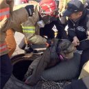 대야농협주유소 이미지