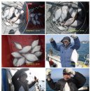 반도낚시