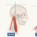 위례바른한의원 이미지