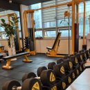 글로리 짐 | 수원 다이어트 글로리짐 PT 후기 한 달 다니고 느낀 진짜 변화