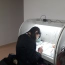 윤선생우리집앞영어옥계