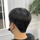 젤라헤어 이미지