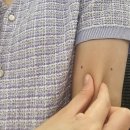 시골돼지촌