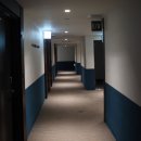 맛거리네 식당 | 제주 서귀포 3만원대 호텔 가능? 신신호텔 천지연점 가성비 숙소 솔직 후기