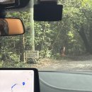 자드부팡 | 제주도 여행 :: 중세유럽감성 가득한 제주도 숲속 카페 - 자드부팡
