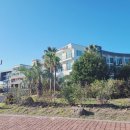 더 그랜드 섬오름 이미지