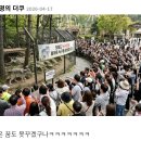 충격적인 늑구 본가 이미지