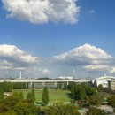 행복초등학교 버스승강장 옆 | [2026 최신] 도쿄역에서 나리타공항 버스 타는 법 : 위치 승강장 및 현장 결제 팁 (1500엔 의 행복🚌)