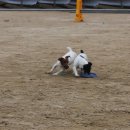 역곡초등학교 이미지