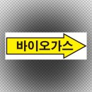 티엠바이오 이미지