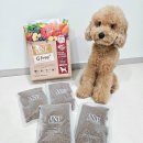 풍기동물병원 | 강아지사료추천 ANF 식스프리 플러스 소고기&amp;연어