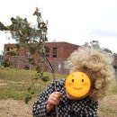 거창유치원 이미지