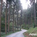 서부지방산림청(정읍국유림관리소) 이미지