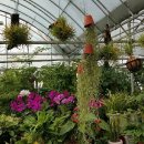 동구꽃백화점 이미지